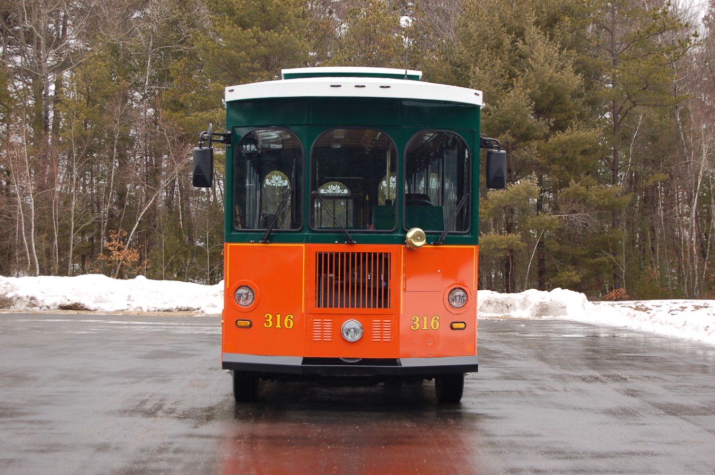 Mobile Concepts Molly Trolly Cityview